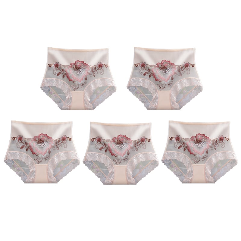High Waist Premium Lace Embroidered Panties (5-Pack)