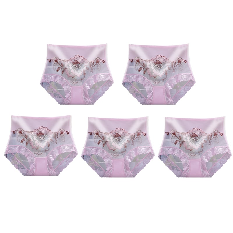 High Waist Premium Lace Embroidered Panties (5-Pack)