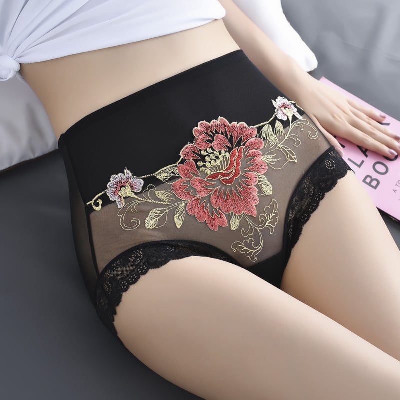High Waist Premium Lace Embroidered Panties (5-Pack)